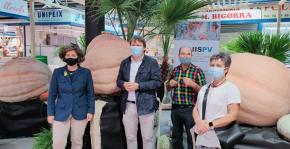 L’exposició de carbasses gegants del Mercat Central col·labora amb la recerca per la salut mental